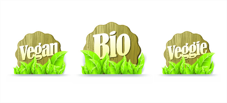 Bio, Vegan, veggie Lables. Vector Illustration Collection
