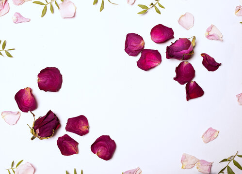 delicate picture of dry red roses and pink petals on white background. Relaxation in bath. Pattern for card design.