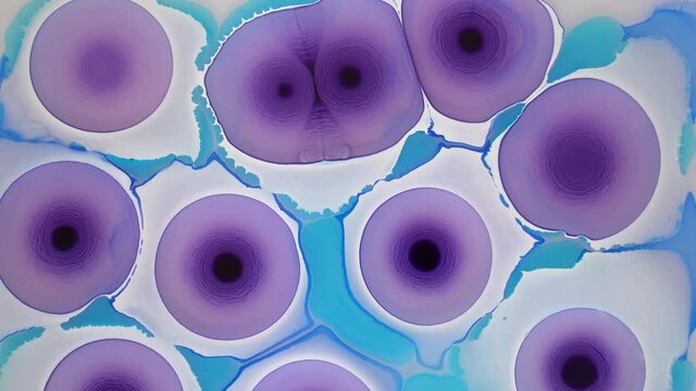 Incredible ink-in-liquid effect. Magenta and Cyan. Fascinating movement. Fabulous resembling flowers from an avatar from another planet. Ink in liquid. Abstract liquid background.