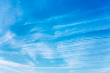 Chemtrail tracks on a clear blue sky on a sunny day. Spraying from aircraft. Space for text.