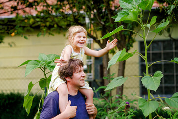 Little preschool girl sitting on shoulder of father with huge sunflower in domestic garden. Happy family, child and dad, middle-aged man cultivating flowers. Kids and ecology, environment concept.