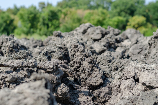 Dried up chunks of mud and silt against a green blurred backgrou