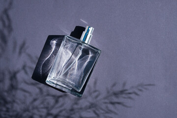 Transparent bottle of perfume on a dark grey background. Fragrance presentation with daylight. Trending concept in natural materials with plant shadow. Women's and men's essence. - obrazy, fototapety, plakaty