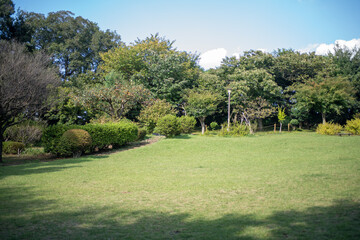 Fototapeta na wymiar Japanese park