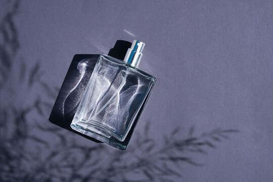 Transparent bottle of perfume on a dark grey background. Fragrance presentation with daylight. Trending concept in natural materials with plant shadow. Women's and men's essence.