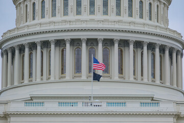 Detail view of historic Capitol building with dome and columns in green tree park in Washington DC,...