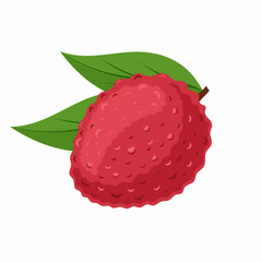 Lychee fruit is tropical with an isolated leaf on a white background.