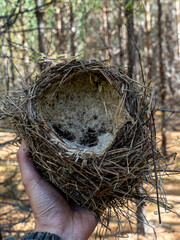 An abandoned birds nest in a mans hand. Abandoned birds Nest