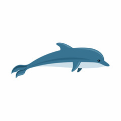 Mammals dolphin on a white background.