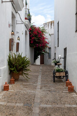 Very nice street decorated with plants and flower pots in the pretty town of Vejer de la Frontera, Spain