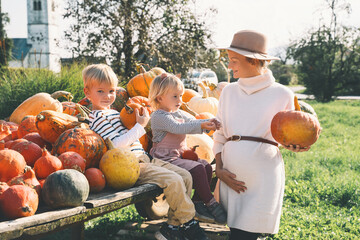 Pregnant mother and children are choosing pumpkin in farm market. Woman and little kids playing on...