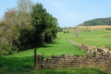 Prairies dans la campagne &agrave; la fronti&egrave;re entre la France et la Belgique