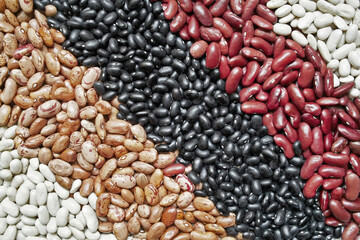 some varieties of dried beans