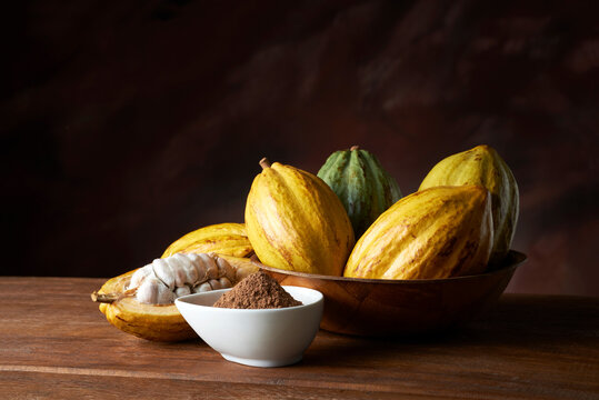 Frutos de Cacau  num pote de madeira com chocolate em pó e um fruto aberto copiar