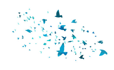 Obraz premium A flock of flying blue birds. Free birds. Vector illustration