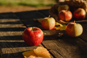Red ripe apples on a wooden table on a blurred background. Autumn harvest of apples.