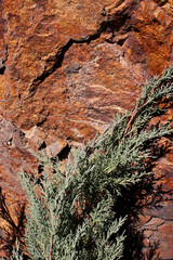 stone wall in the mountains