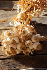 dried garlic on wooden background