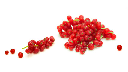 Fresh organic ripe red currant in dew drops in a heap and whole isolated on white background.	