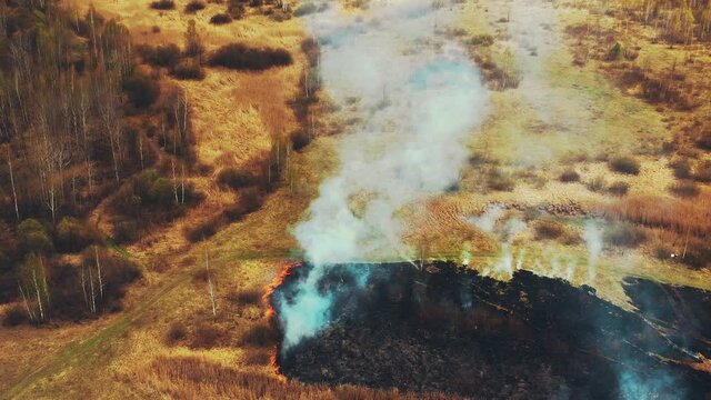 Wild Open Fire Destroys Grass. 4K Aerial View Spring Dry Grass Burns During Drought Hot Weather. Bush Fire And Smoke. Fire Engine, Truck On Firefighting Operation. Ecological Problem Air Pollution.