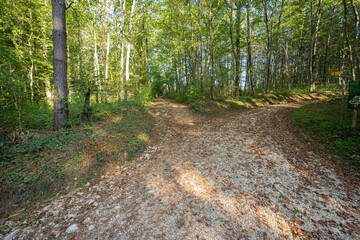 autumn in the mountains liestal baselland 