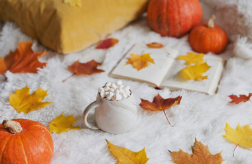 Cocoa with marshmallows and autumn decor