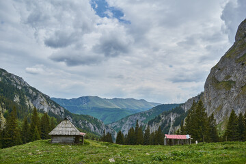 Obraz premium Scorota sheepfold in Retezat mountain with peak forest blue sky