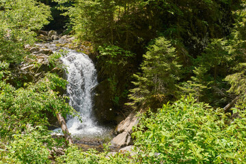 Obraz premium Little waterfall on a river in Retezat mountain in Campu lui Neag Romania