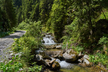 river near the pathway in the forest in Retezat mountain in Campu lui Neag Romania