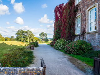 Devon castle gardens and ivy