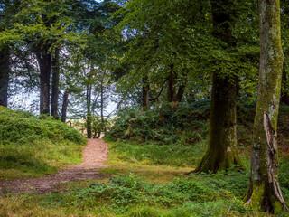 Fototapeta premium Woodbury Castle Devon