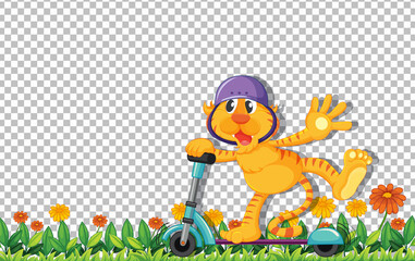 Tiger riding scooter on transparent background