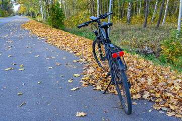 Fototapeta na wymiar bicycle parked on bicycle path with autumn leaves