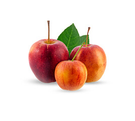 fresh apple fruits on a white background,isolated