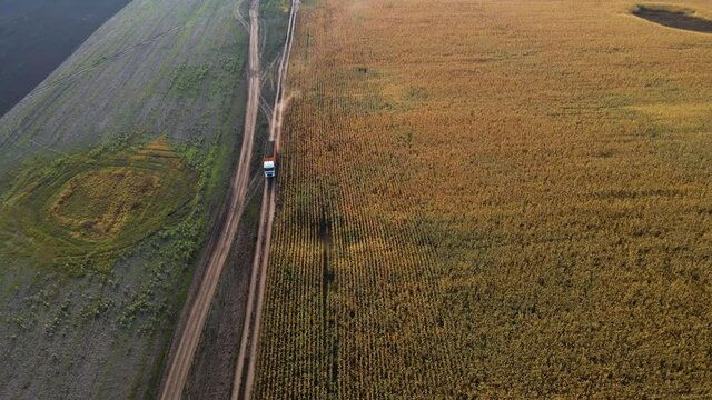Aerial view, drone view of truck driving on dirt road plowed fields making dust, Large Delivery Truck is Moving on dirt road. Agriculture from above, Industry, Industrial harvest transportation