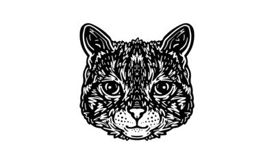Cat head illustration, vector, hand drawn, isolated on light background.