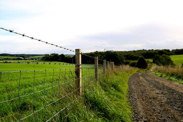 Country Lane and Wire Fence in a Rural Location