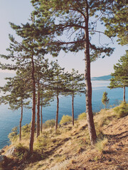 beautiful trees at the lake coast, lake view, blue lake and blue sky