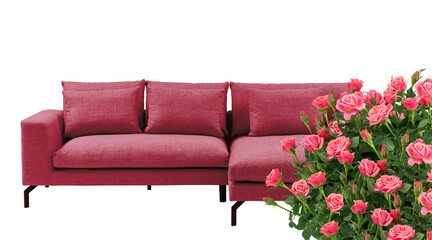 sofa isolated on white background  with cut out have clipping path