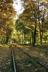 Old railway track in autumn landscape with fallen leaves. Railroad in the autumn forest.