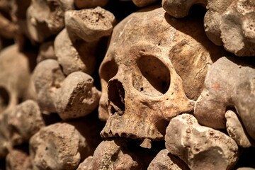 Skulls and bones in a wall