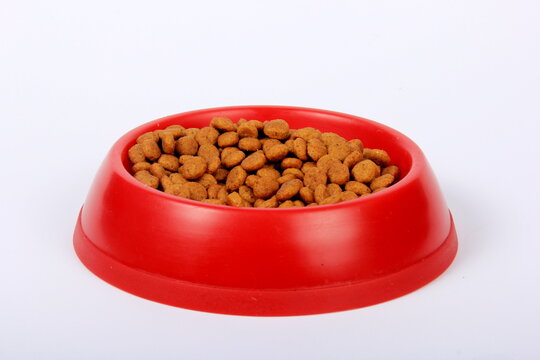 Dry cat food in red plastic bowl isolated on white. Cat and dog dry food in bowl 