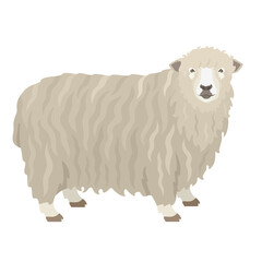 Lincoln Sheep Farm animals Flat vector illustration Isolated object