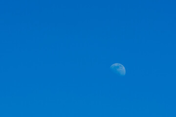 Obraz na płótnie Canvas Clear blue morning sky with half moon.