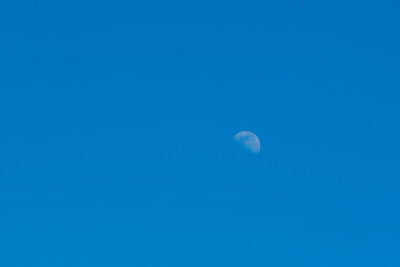 Clear blue morning sky with half moon.