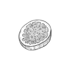 Circle slice of cut fig fruit, sketch engraving vector illustration isolated.