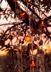 beautiful background of light bulbs on a tree at sunset