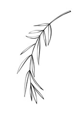 Vector outline spice rosemary sprig in doodle style. Clip art for kitchen, design of packaging and wrapping paper, menus, restaurants, products