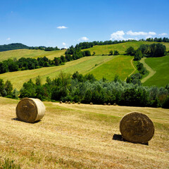 Naklejka na ściany i meble Rural landscape near Sala Baganza and Fornovo, Parma, at springtime
