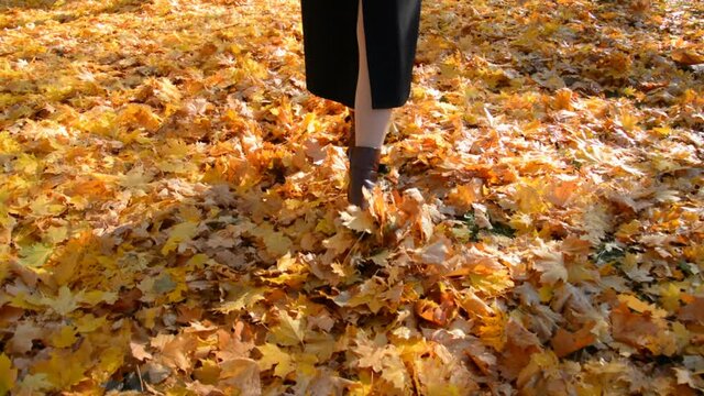 Legs of a woman in brown boots walking through the autumn forest front view